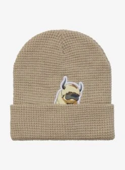 Avatar: The Last Airbender Appa Waffle Knit Cuff Beanie - BoxLunch Exclusive