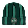 Harry Potter Slytherin Striped Cuff Beanie - BoxLunch Exclusive