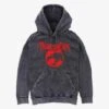 ThunderCats Logo Rearranged Mineral Wash Hoodie -Cozy Mode Store 33854075 hi